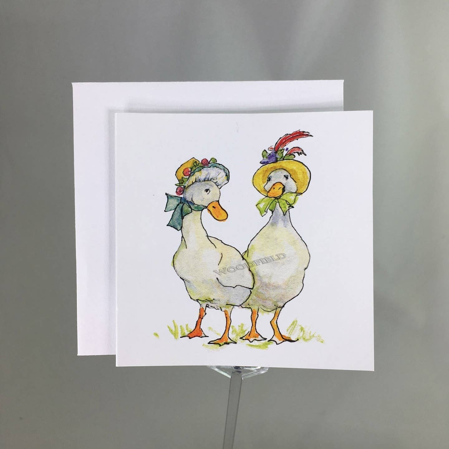Beaks and Bonnets Enclosure Cards | Woodfield Press
