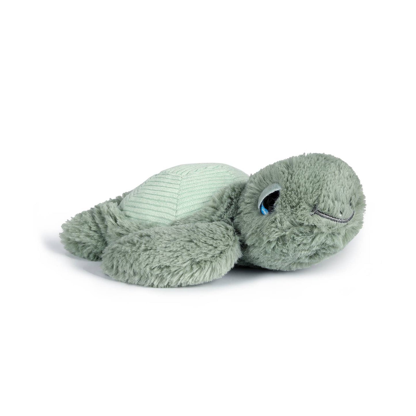 Little Tyler Turtle | OB