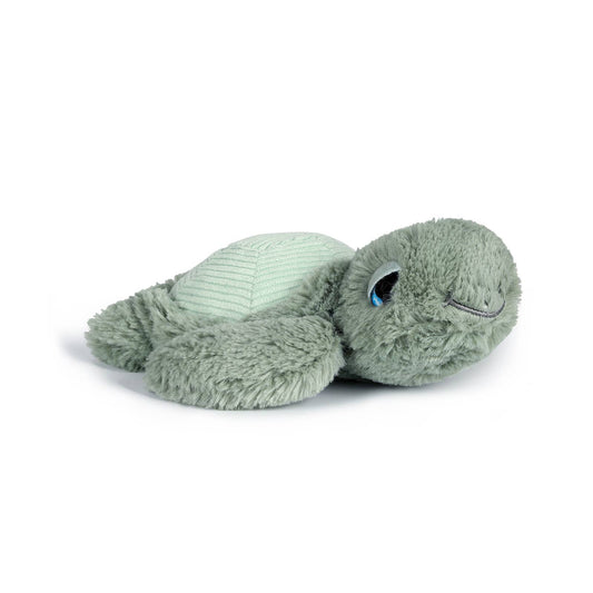 Little Tyler Turtle | OB
