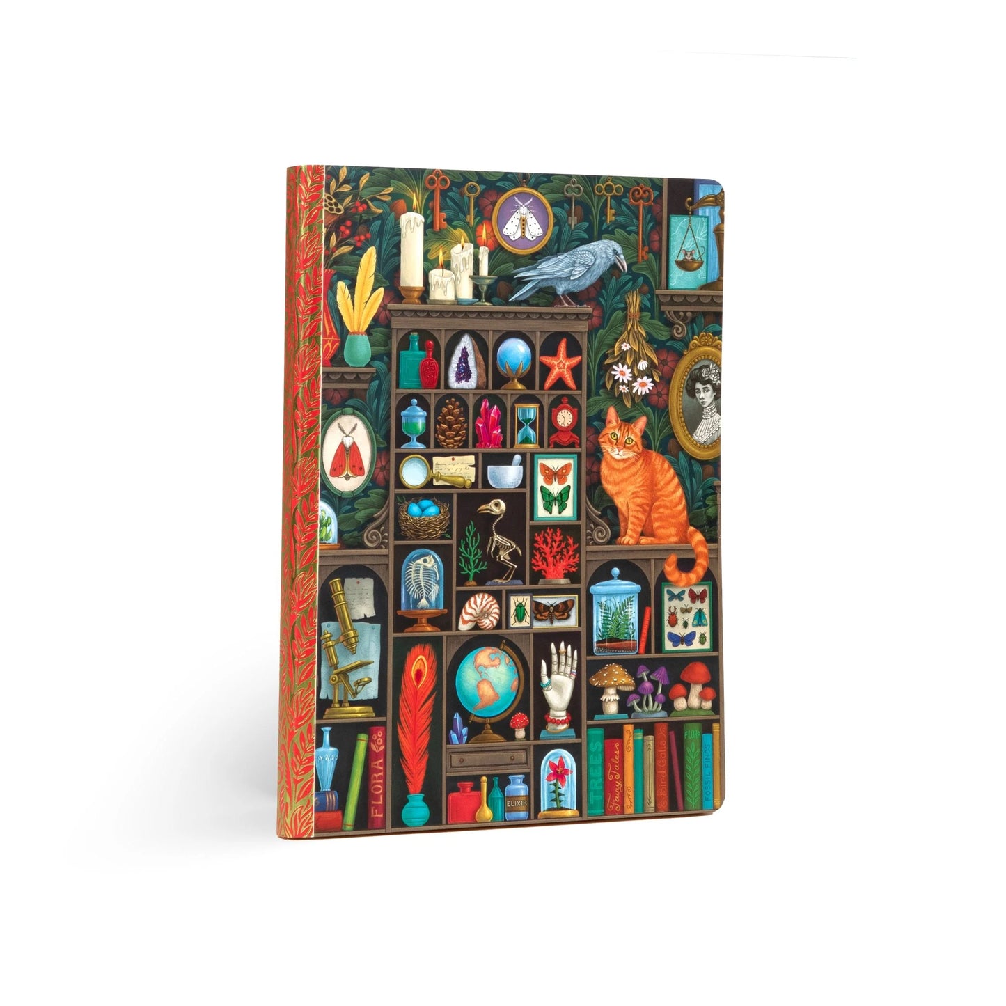 Alchemist's Cabinet Luxe Journal | Eeboo