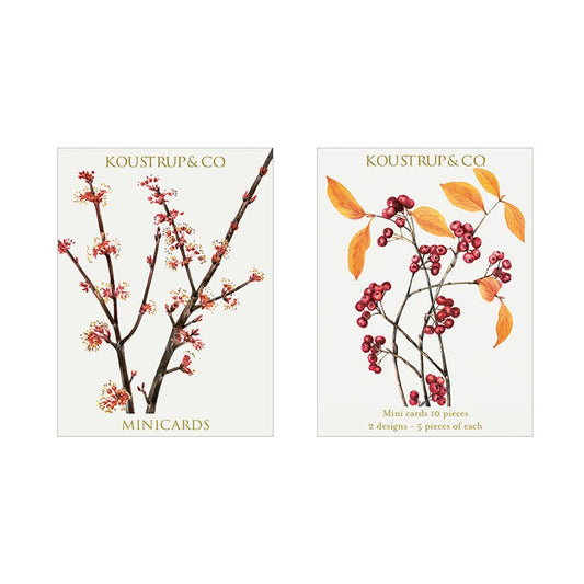 Flowering Winter Mini Boxed Cards | Koustrup & Co