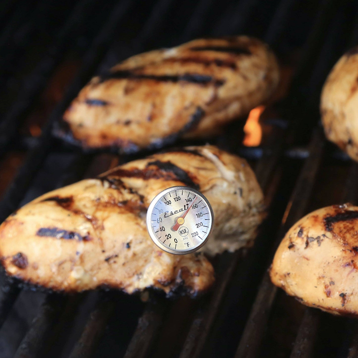 Escali Instant Read Dial Thermometer | Kitchen Supply Brands