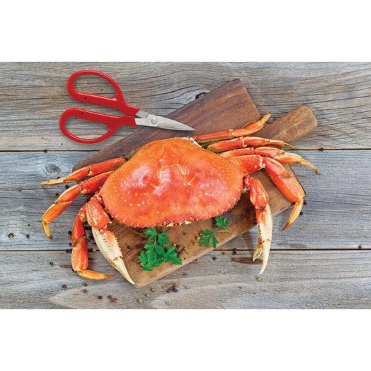Maine Man Crab Seafood Scissor | HIC Kitchen