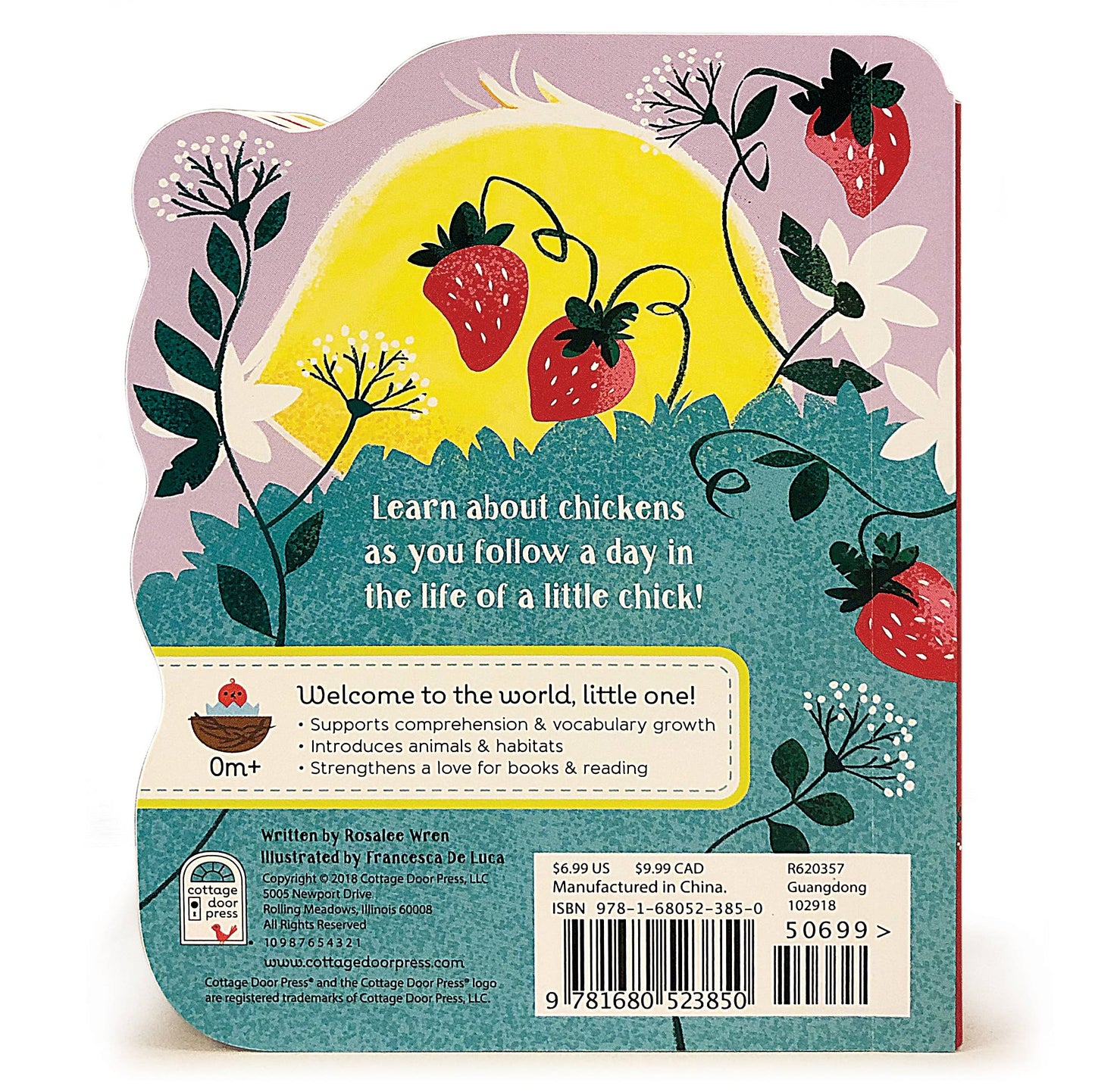 A Little Chick Board Book | Cottage Door Press