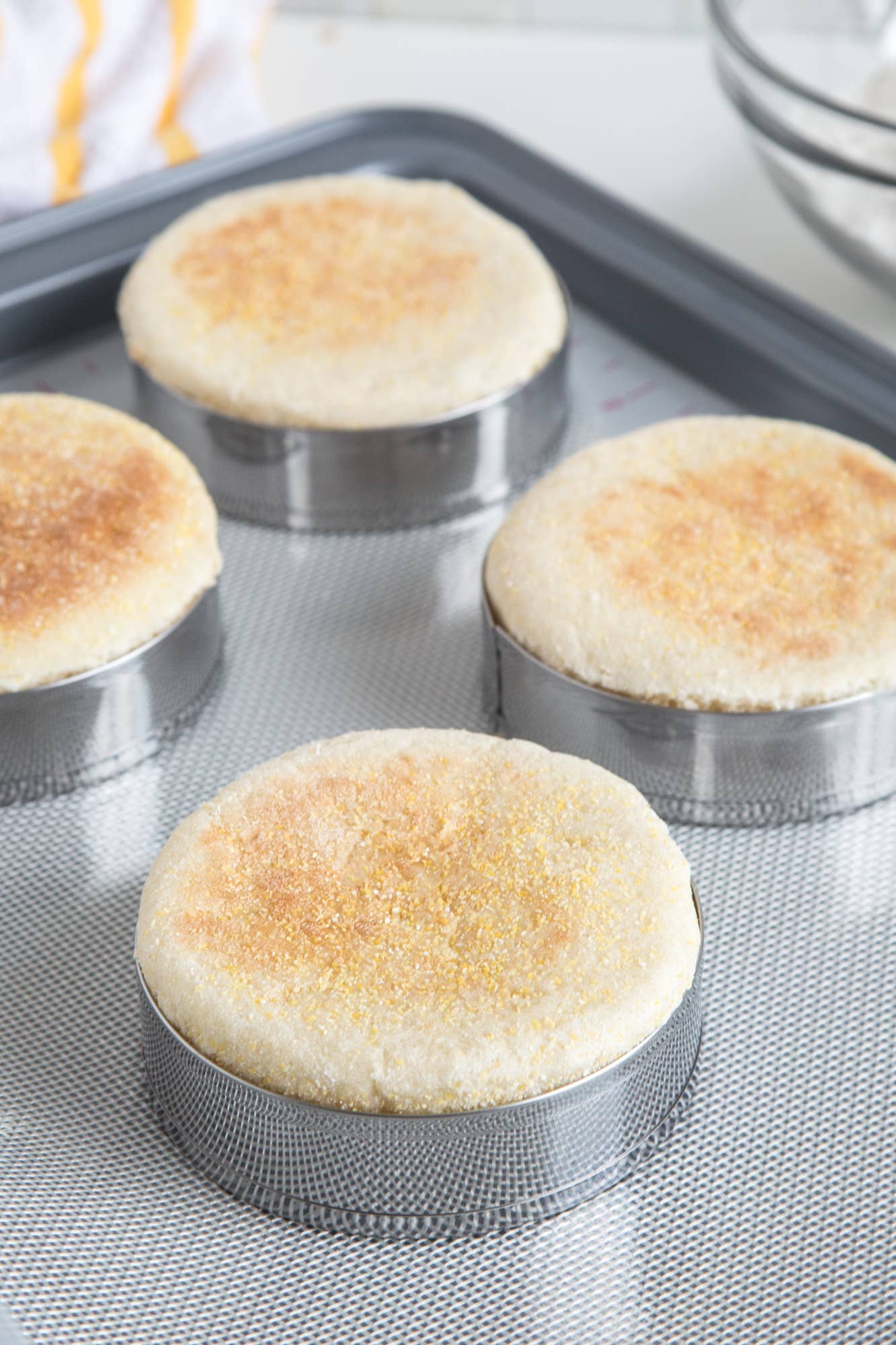 English Muffin Rings, Set of 4 | Fox Run Brands