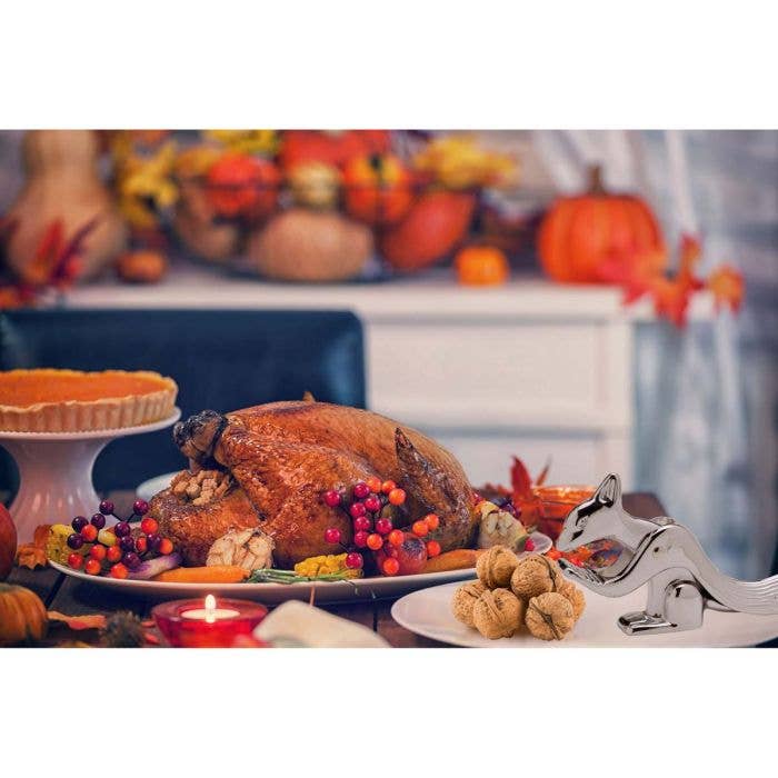 The Squirrel Nutcracker | HIC Kitchen