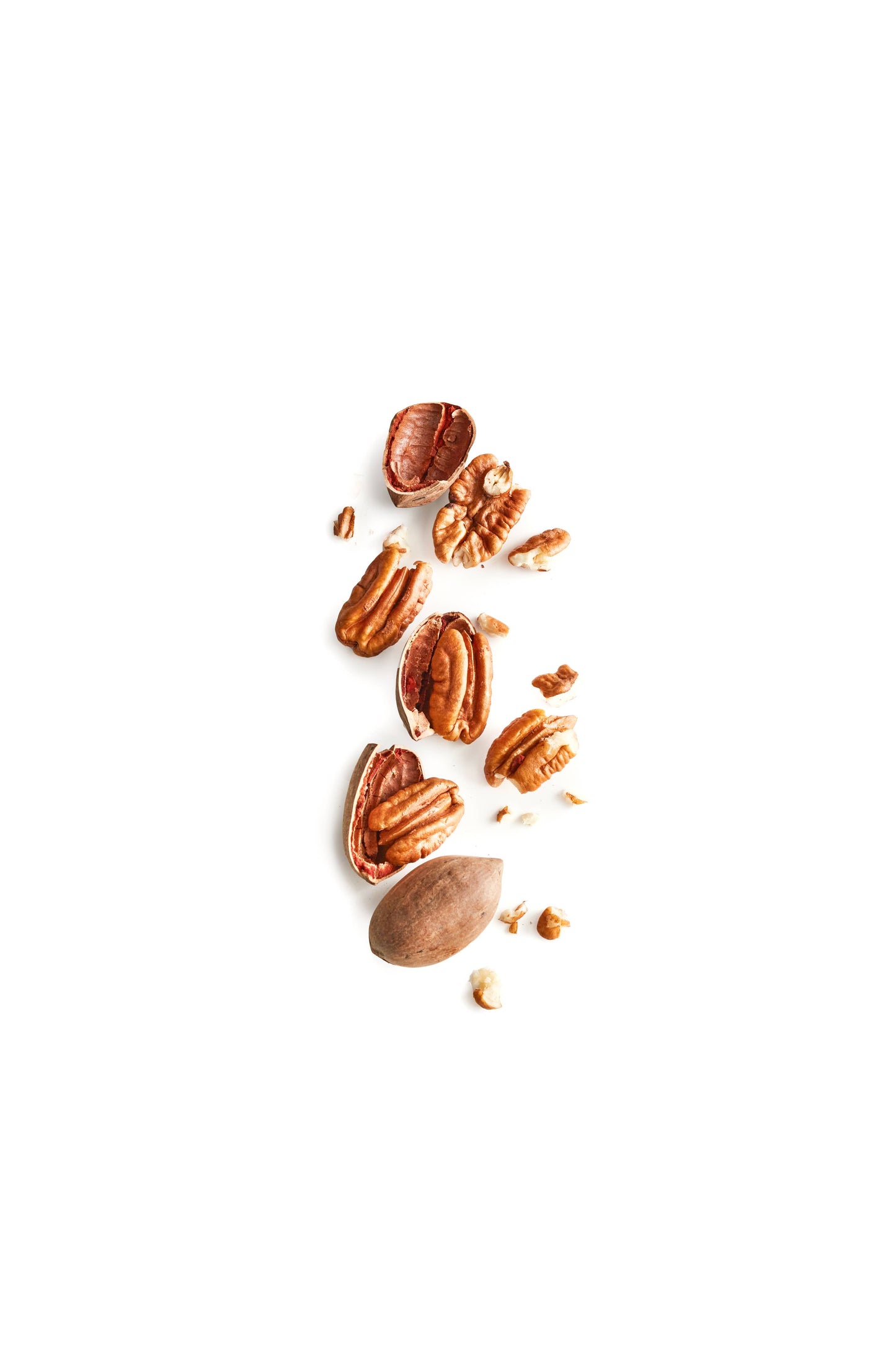 Shortbread Cookies - Pecan | Rustic Bakery