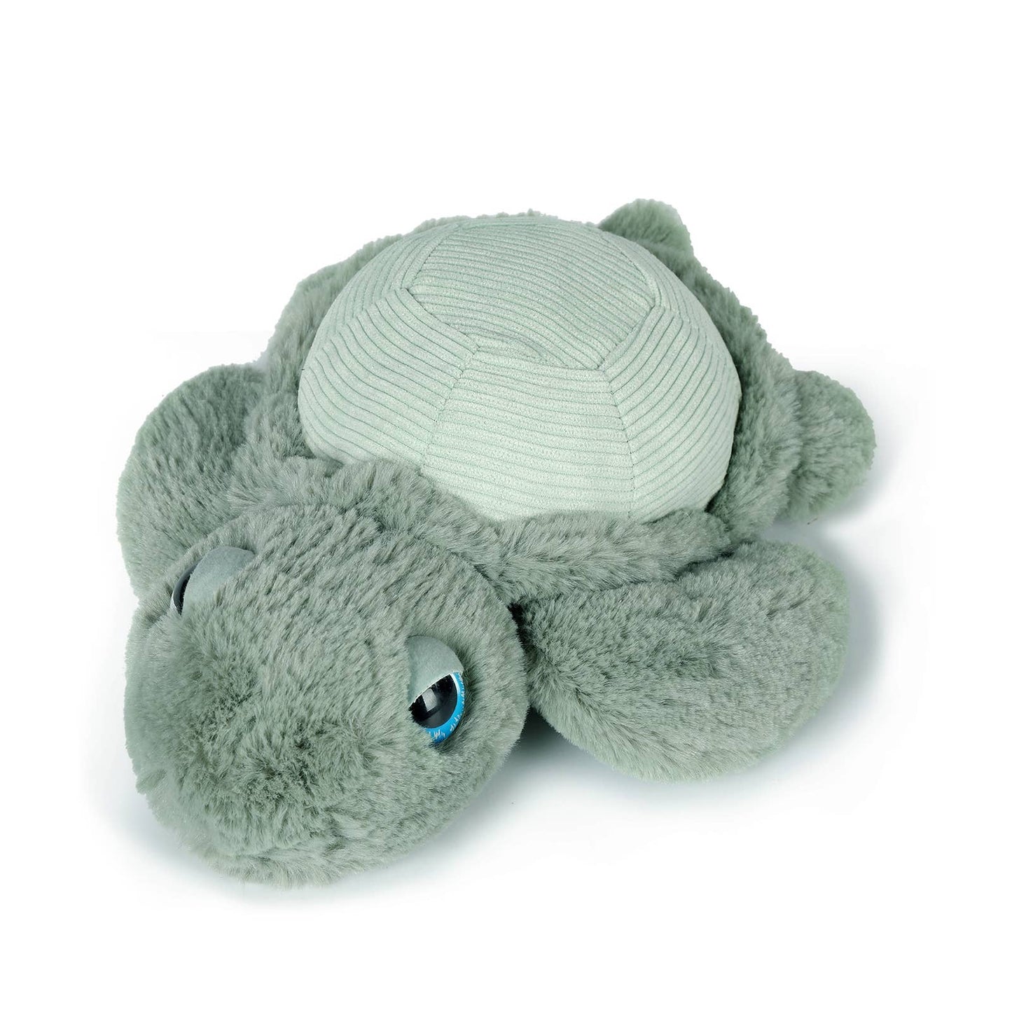 Little Tyler Turtle | OB