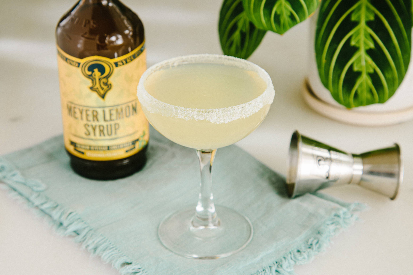 Meyer Lemon Simple Syrup - 12oz | Portland Syrups