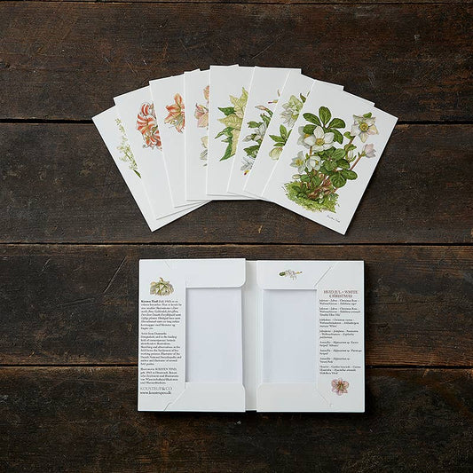 White Christmas Flowers Boxed Cards | Koustrup & Co