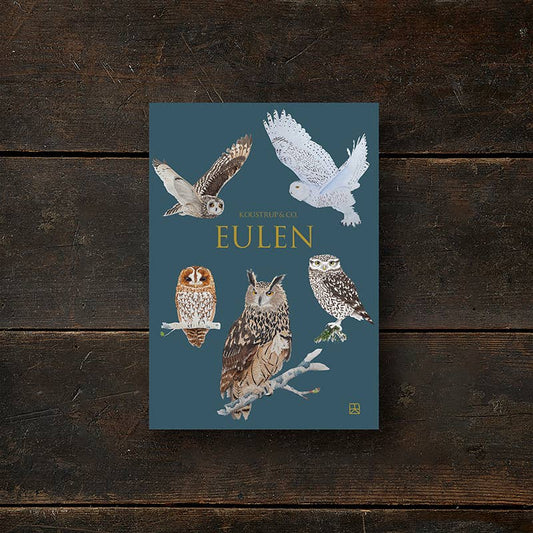 Eulen - Owl - Boxed Cards | Koustrup & Co