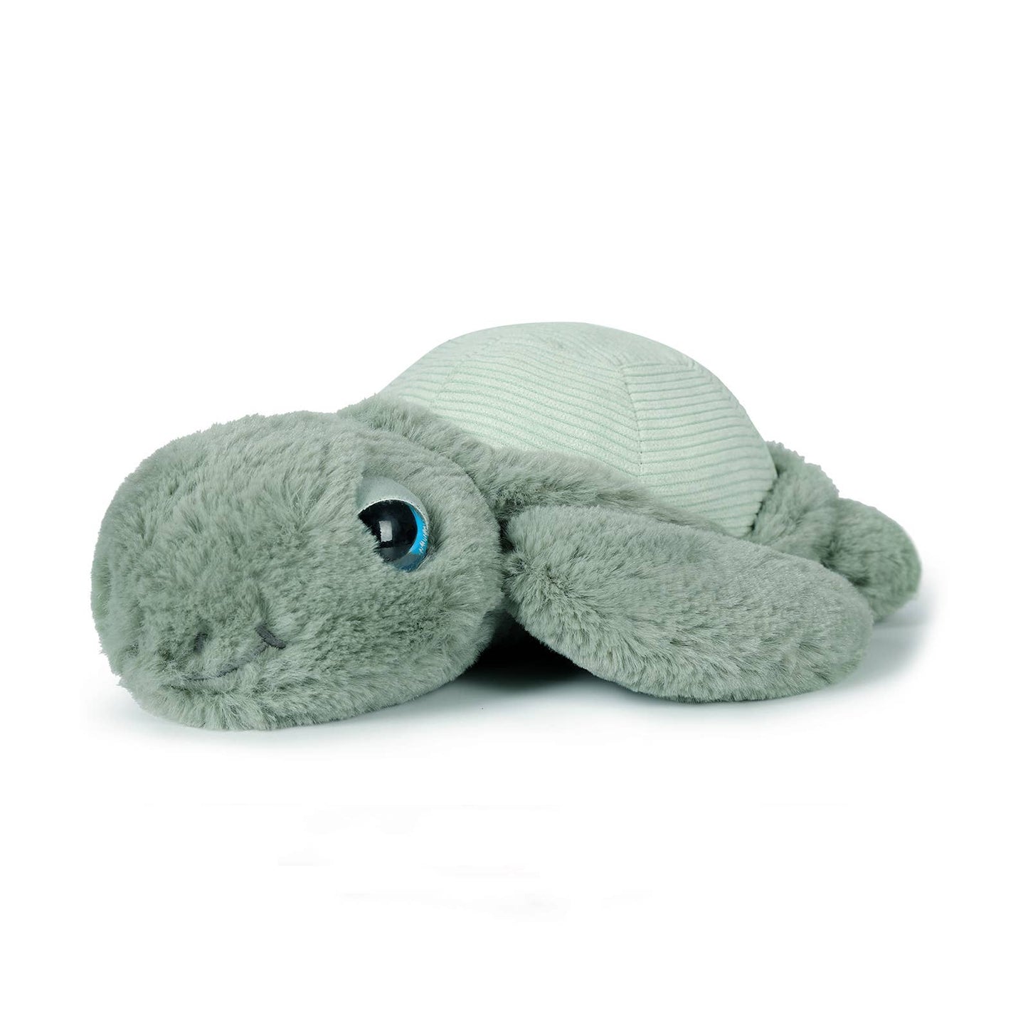 Little Tyler Turtle | OB