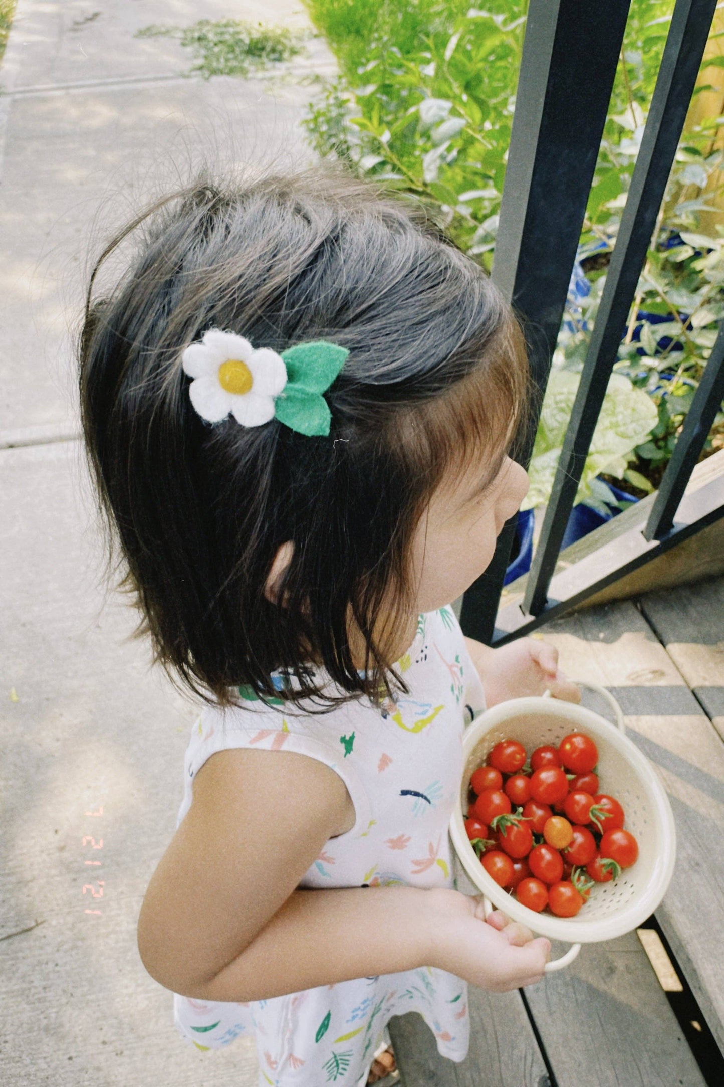Daisy Hair Clip l Delphinette
