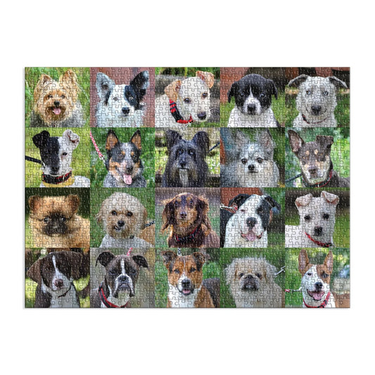 Rescue Dogs Puzzle (1000 pc) | Galison