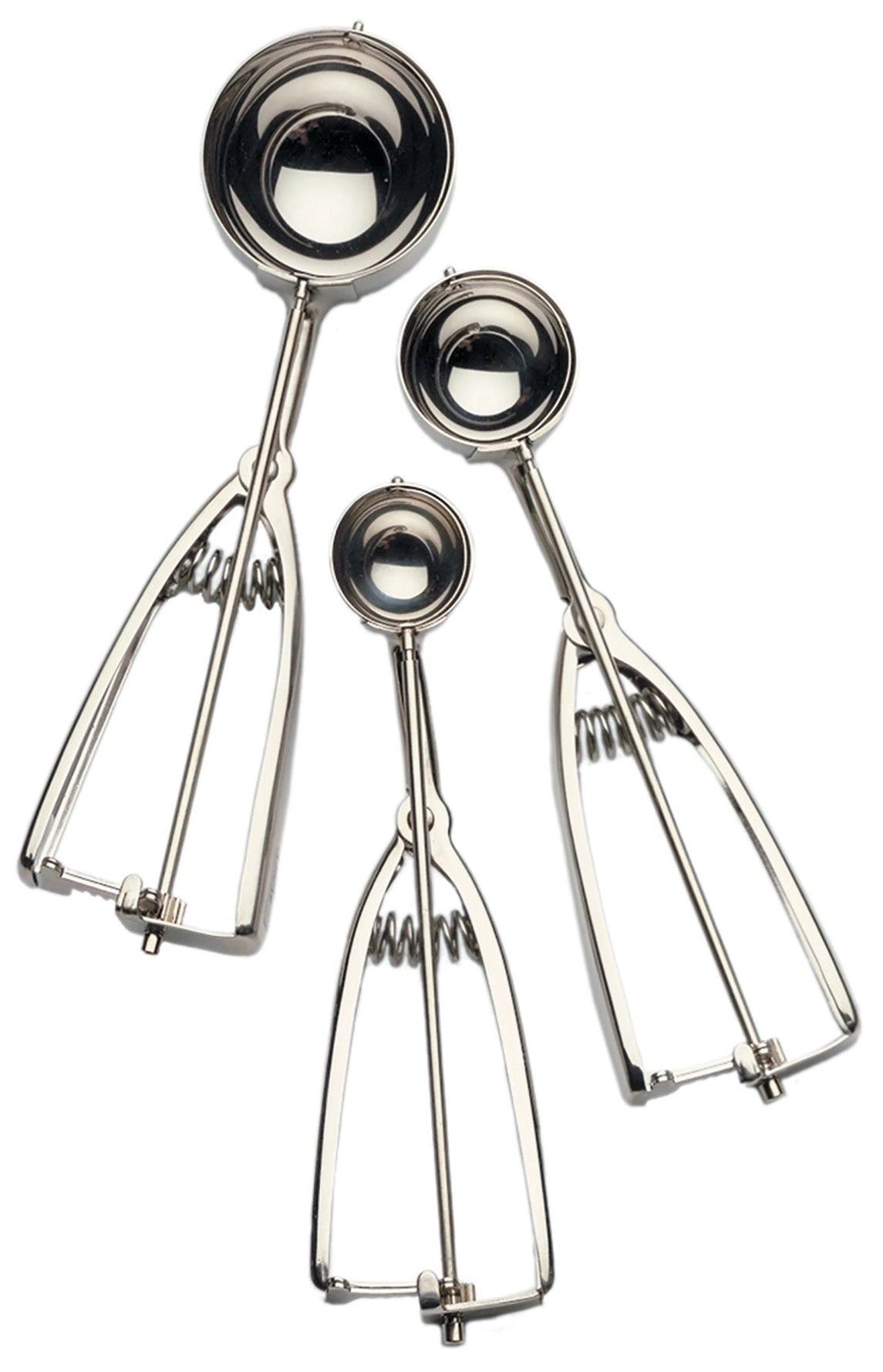 #40 Spring Scoop | RSVP