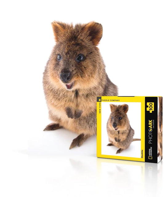 National Geographic 100 Piece Mini Puzzles (Various Designs) | New York Puzzle Company