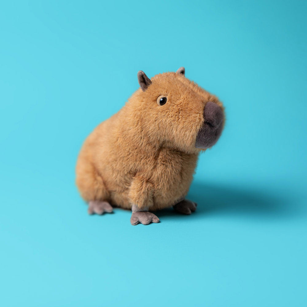 Stuffed Animals
