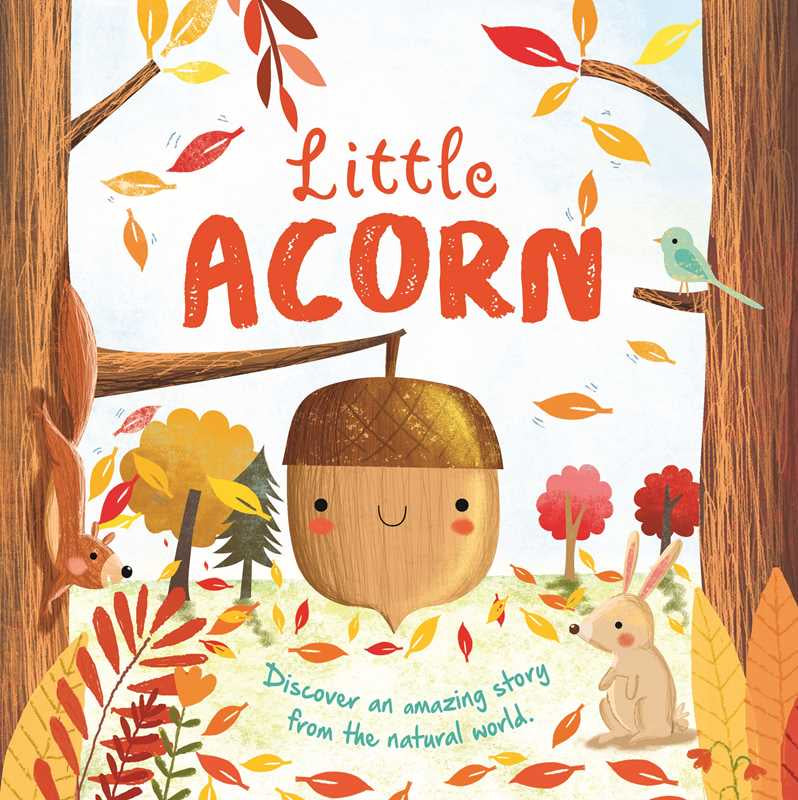 Nature Stories: Little Acorn-Discover an Amazing Story from the Natural World | IglooBooks