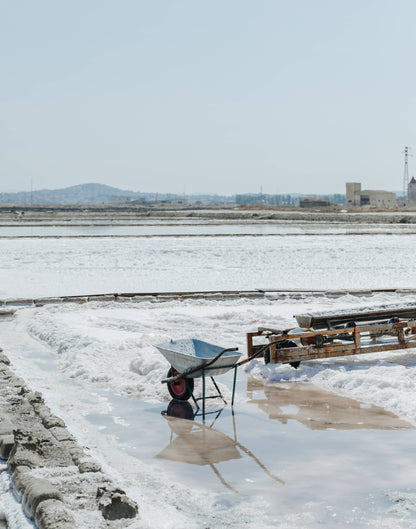 Trapani Pure Italian Fine Sea Salt | Jacobsen Salt Co.