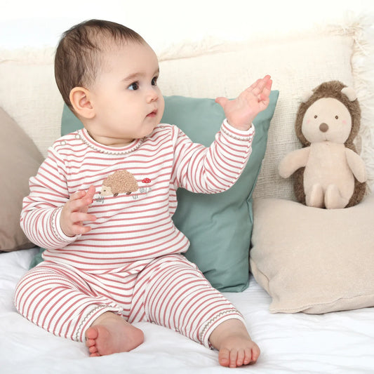 Henri Hedgehog Babygro | Albetta