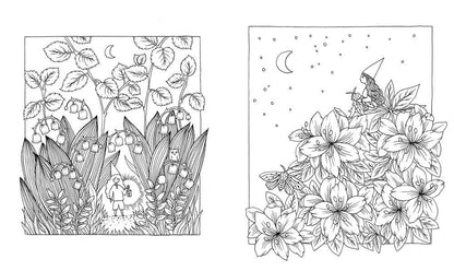 Botanicum Coloring Book | Gibbs Smith