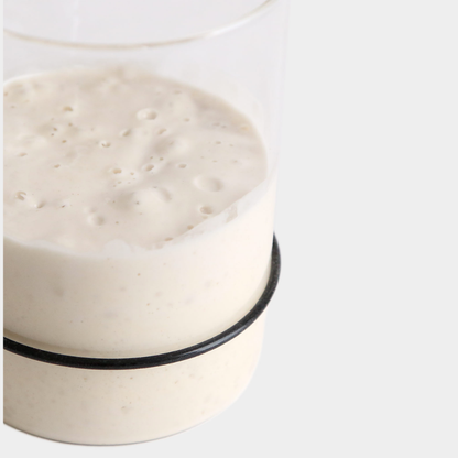 Sourdough Starter Kit | Breadtopia