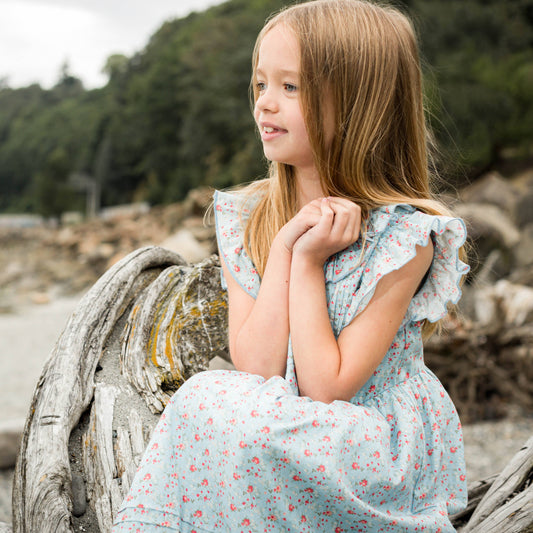 Summer Posy Ana Dress | Beet World