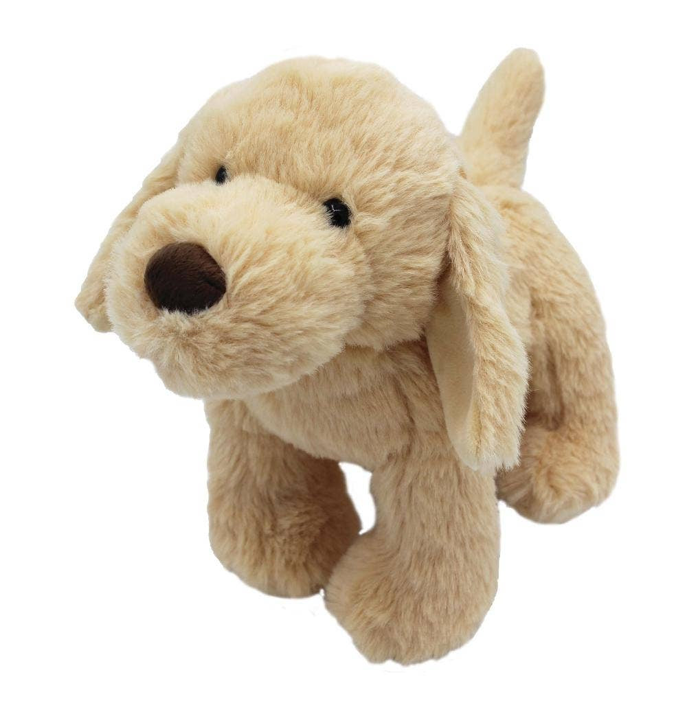 Golden Puppy | Jomanda