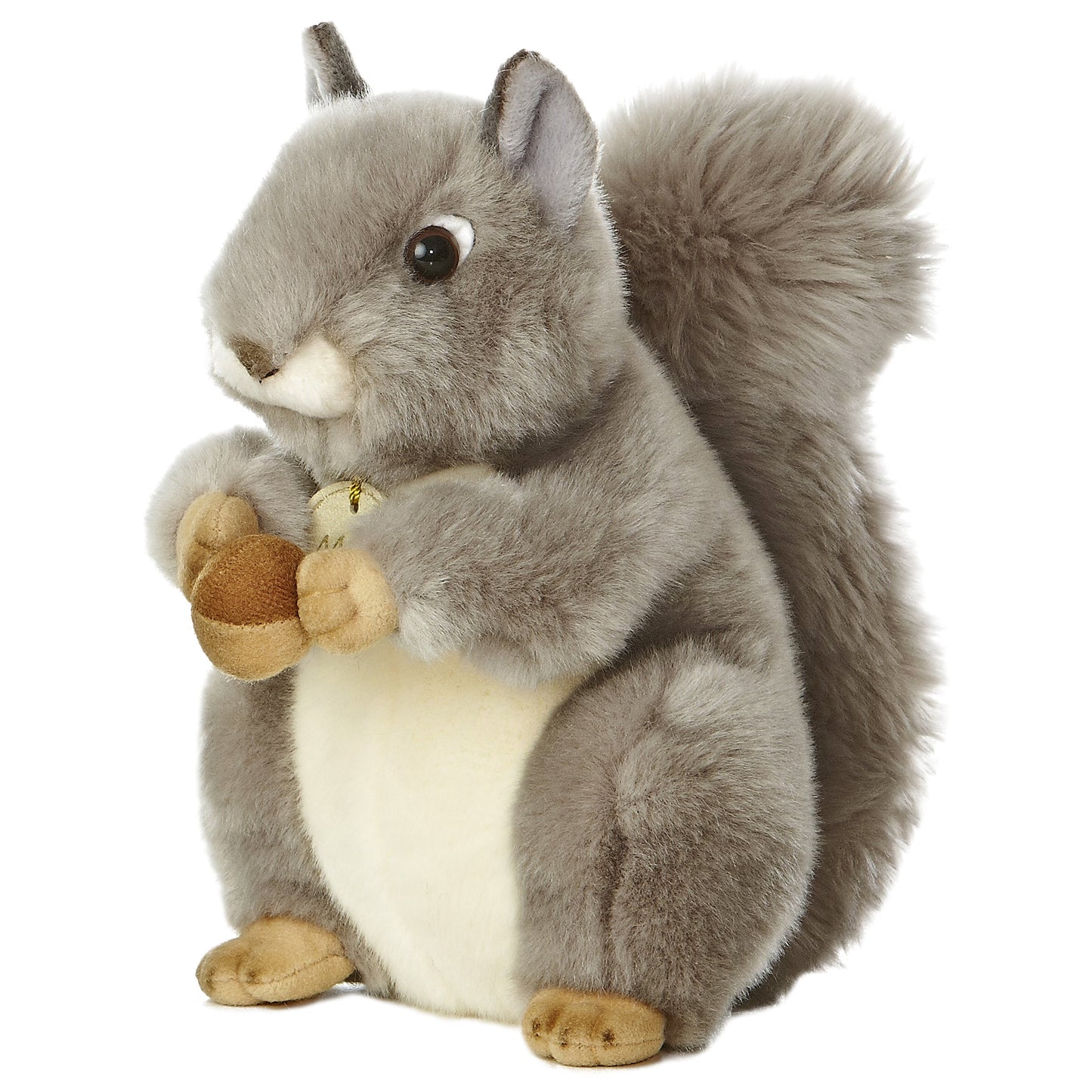 Grey Squirrel | Miyoni