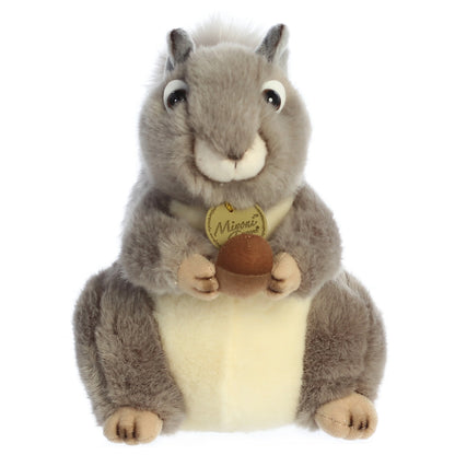 Grey Squirrel | Miyoni
