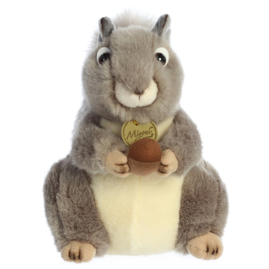 Grey Squirrel | Miyoni