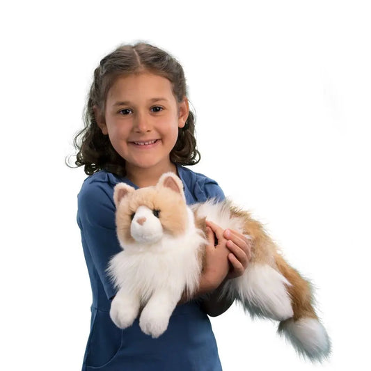 Kiki Ragdoll Cat | Douglas Toys