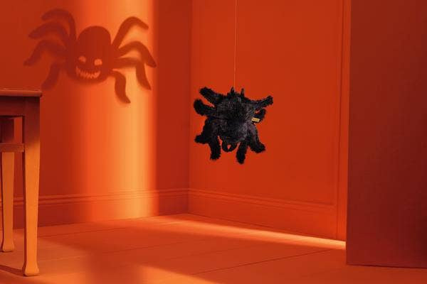 Cobweb the Spooky Spider | Steiff