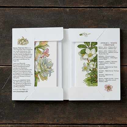 White Christmas Flowers Boxed Cards | Koustrup & Co