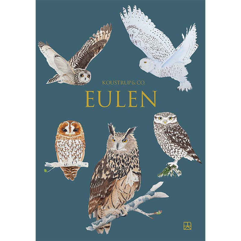 Eulen - Owl - Boxed Cards | Koustrup & Co
