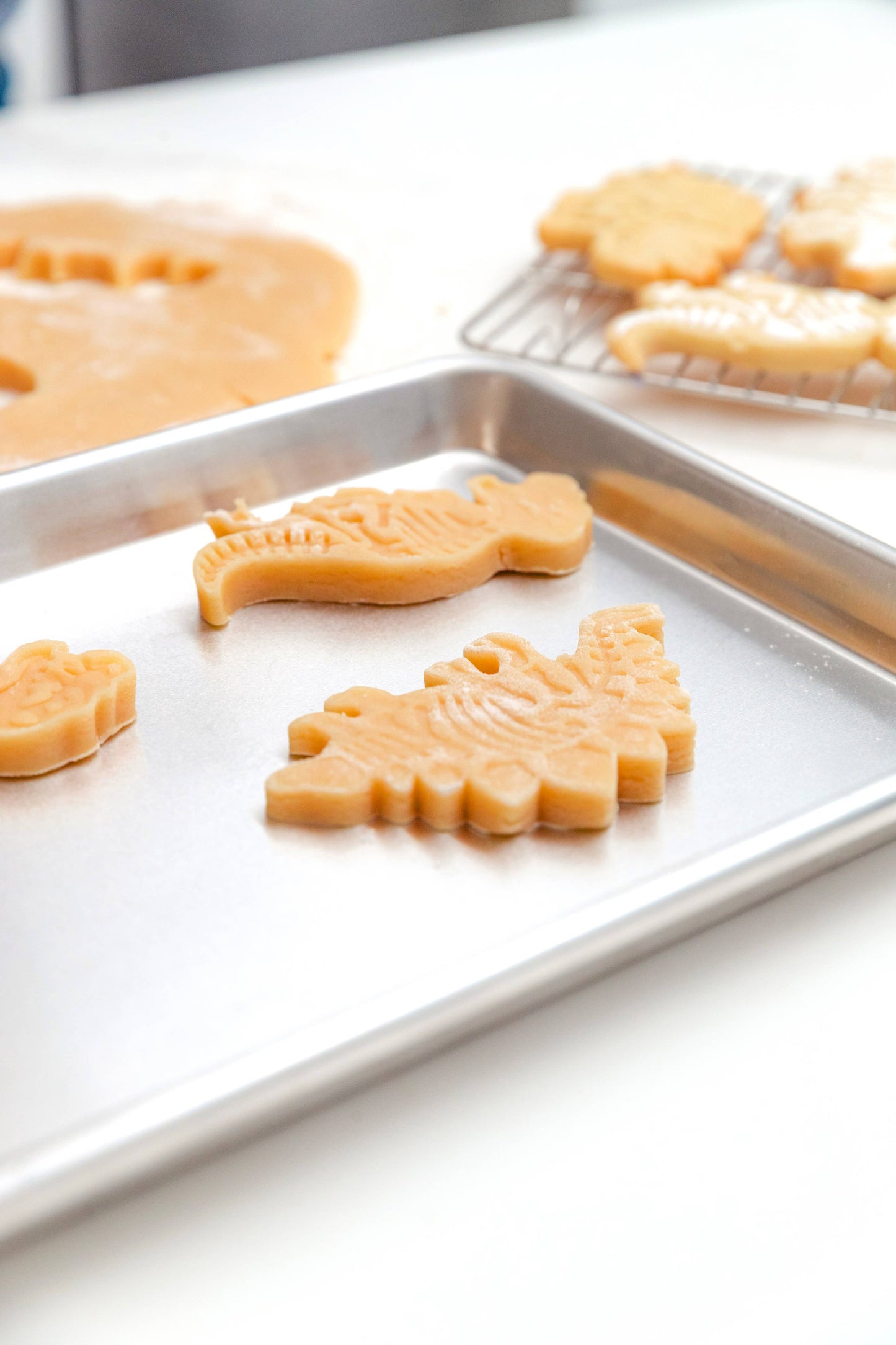 Fossil Fun Cookie Stamps – Set of 3 | Handstand Kitchen