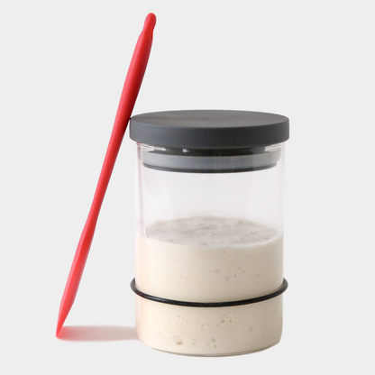 Sourdough Starter Kit | Breadtopia