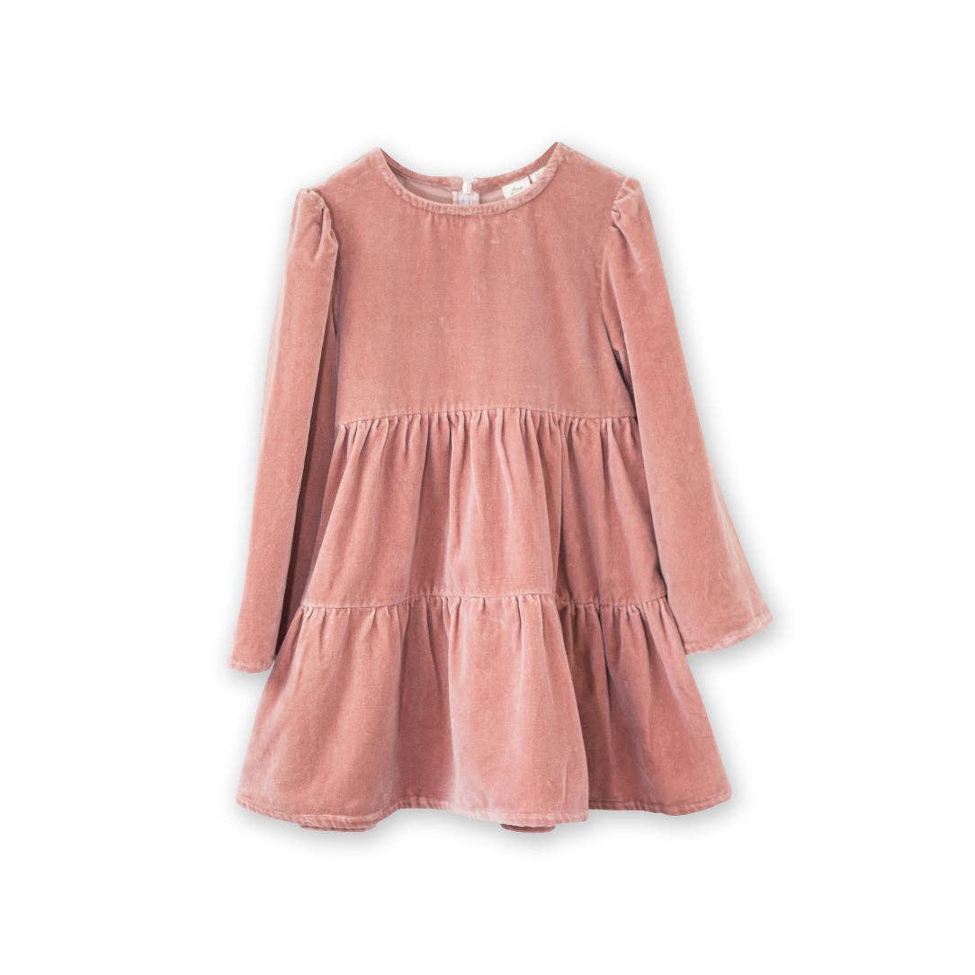 Holly Dress - Blush Velvet | Beet World