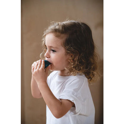 Dolphin Whistle | Plan Toys