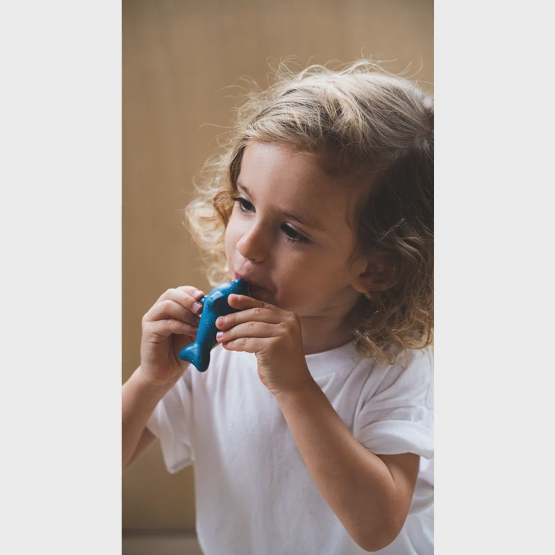 Dolphin Whistle | Plan Toys