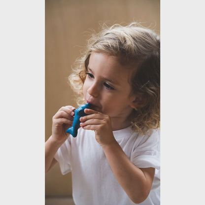 Dolphin Whistle | Plan Toys