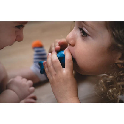 Dolphin Whistle | Plan Toys