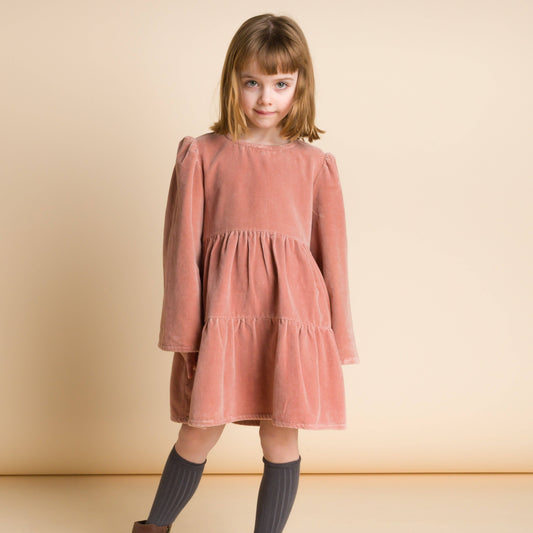 Holly Dress - Blush Velvet | Beet World