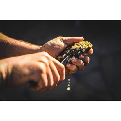 Maine Man Oyster Knife | HIC Kitchen