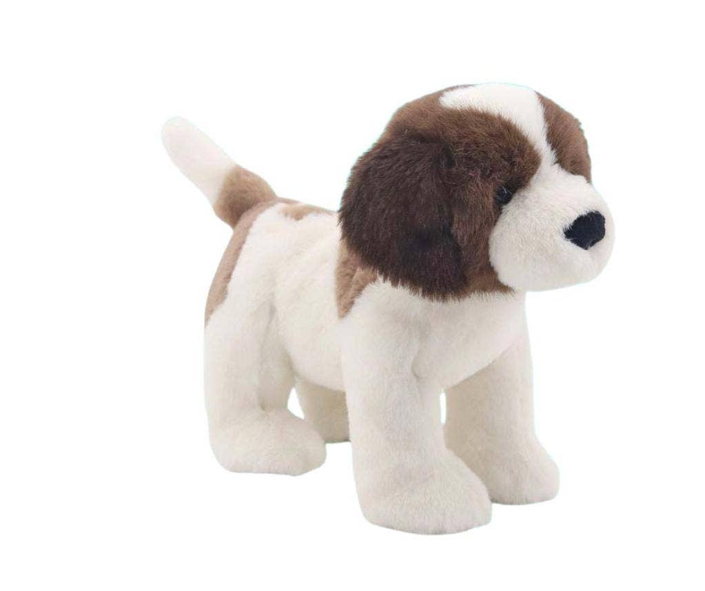 St Bernard Puppy | Jomanda