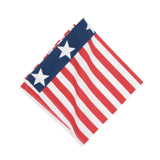 Patriotic Stars & Stripes Cloth Napkin Set/4 | C&F Home