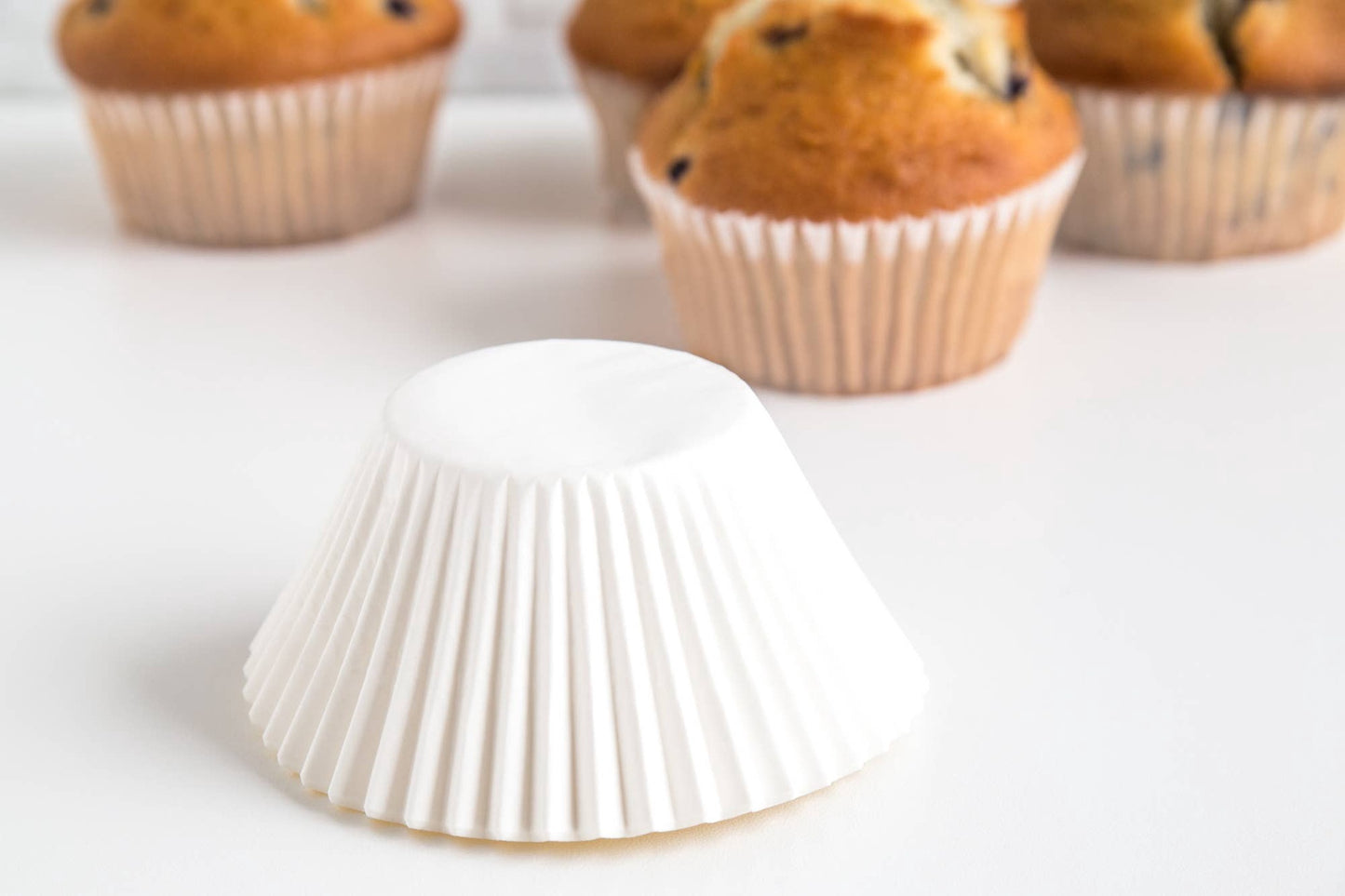 White Texas Size Cupcake Liners | Fox Run Brands