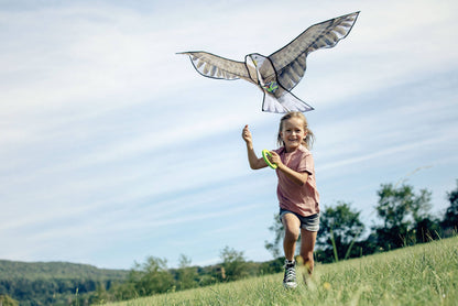 Terra Kids Kite | HABA
