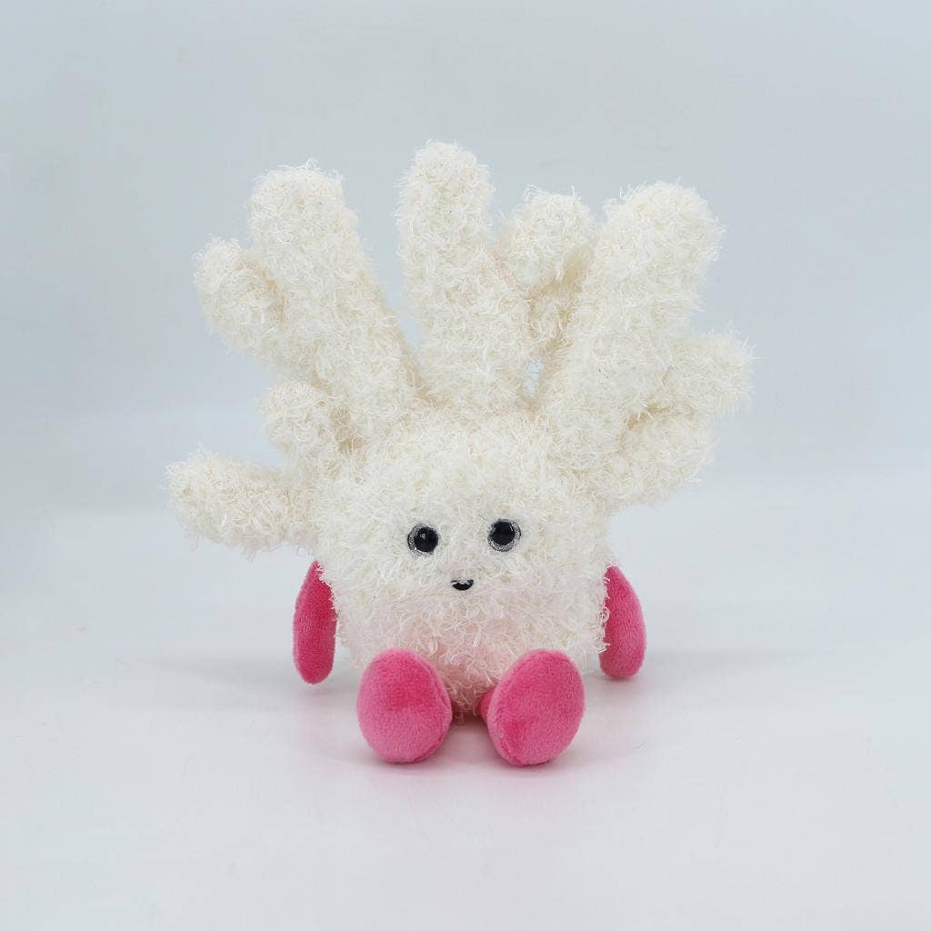 Cream and Pink Coral | Jomanda