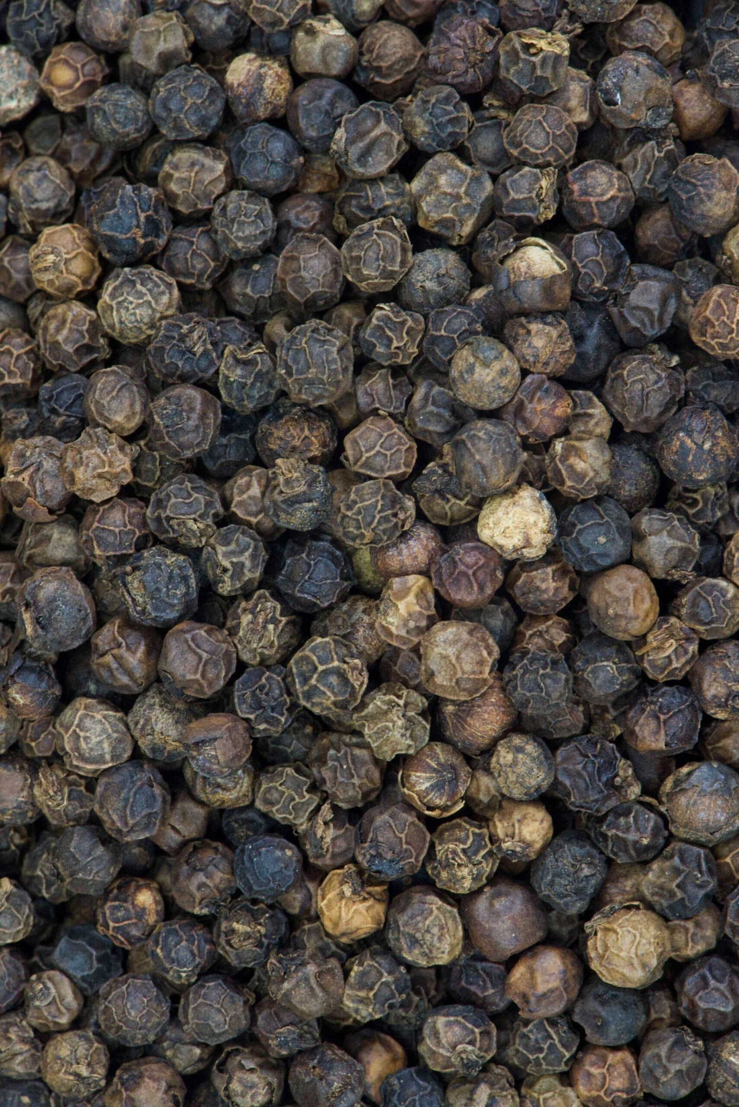 Tellicherry Pepper | India Tree